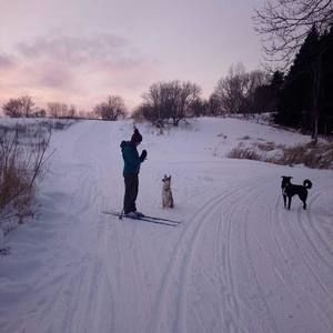 Meet your Posher, Robin